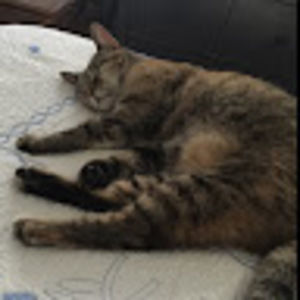 Meet your Posher, Carolyn